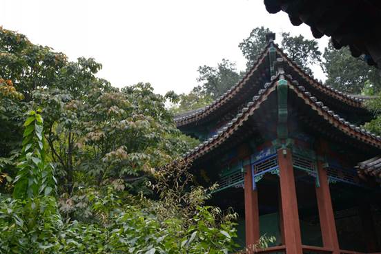 clip_image014.jpg DSC_8502